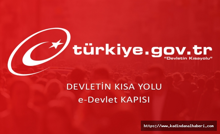 e-devlet Seferberliği Projesi
