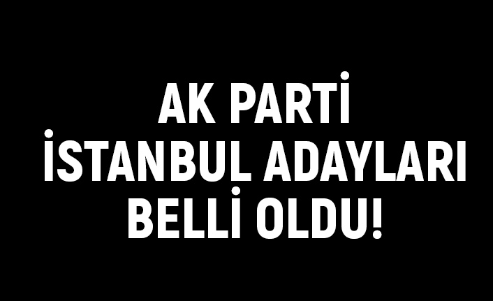 Son Dakika: Ak Parti İstanbul Belediye Başkan Adayları Belli Oldu