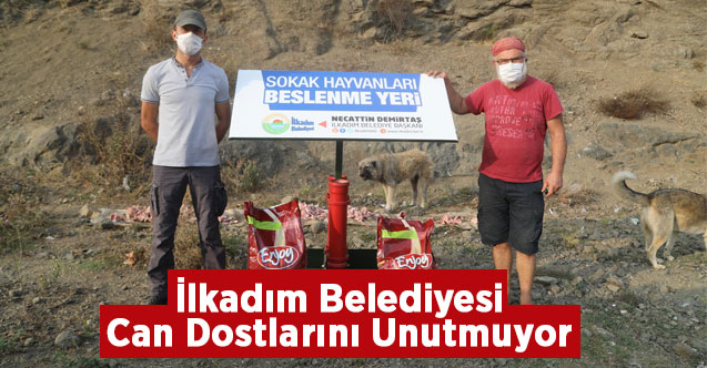 İlkadım Belediyesi Can Dostlarını Unutmuyor