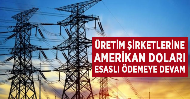 Yerli ve Milli Enerji'de, Üretim Şirketlerine Amerikan Doları Esaslı Ödemeye Devam