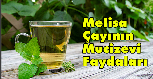 Melisa Çayının Mucizevi Faydaları