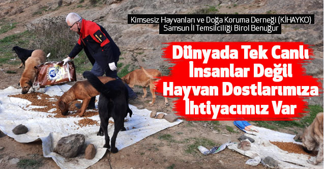 Dünyada Tek Canlı İnsanlar Değil Hayvan Dostlarımıza İhtiyacımız Var
