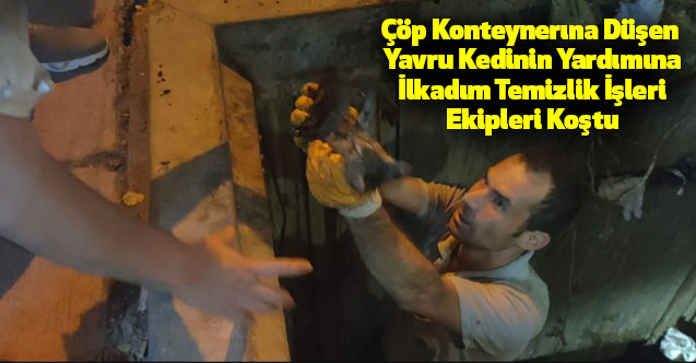 Çöp Konteynerına Düşen Yavru Kedinin Yardımına İlkadım Temizlik İşleri Ekipleri Koştu
