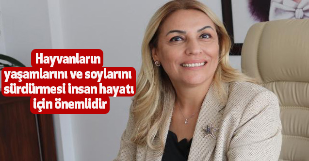 Hayvanların yaşamlarını ve soylarını sürdürmesi insan hayatı için önemlidir
