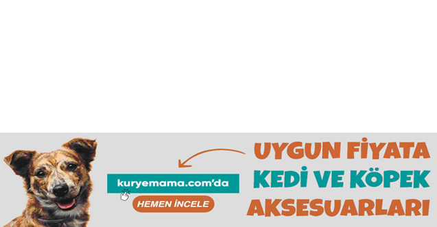 Kurutulmuş Köpek Ödülleri Kedi Kapları Online Alışverişin Adresi Kurye Mama