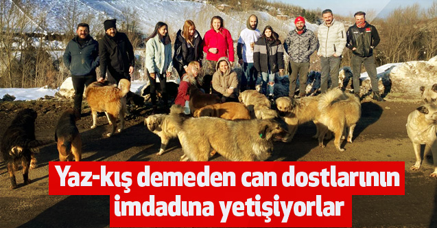 Yaz-kış demeden 'can dostları'nın imdadına yetişiyorlar