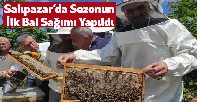 Salıpazar’da Sezonun İlk Bal Sağımı Yapıldı