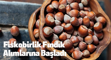 Fiskobirlik Fındık Toplama Sürecine Başladı
