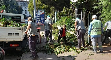 İlkadım’da Park ve Yeşil Alanlara Bakım