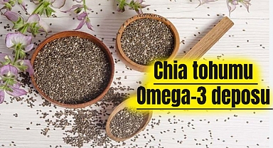 Chia tohumu Omega-3 deposu