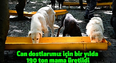 Can dostlarımız için bir yılda 190 ton mama üretildi