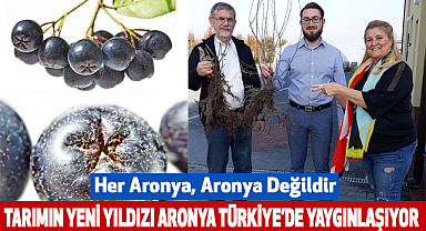 Tarımın Yeni Yıldızı Aronya Türkiye'de Yaygınlaşıyor