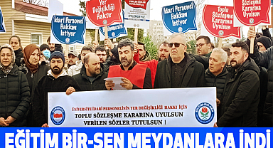 Eğitim Bir-Sen Meydanlara İndi