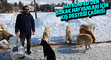 HayKonfed'den Sokak Hayvanları İçin Kış Desteği Çağrısı