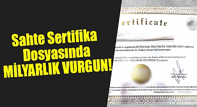 Sahte Sertifika Dosyasında MİLYARLIK VURGUN!