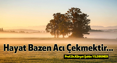 Hayat Bazen Acı Çekmektir