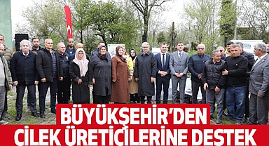 Büyükşehir’den Çilek Üreticilerine Destek