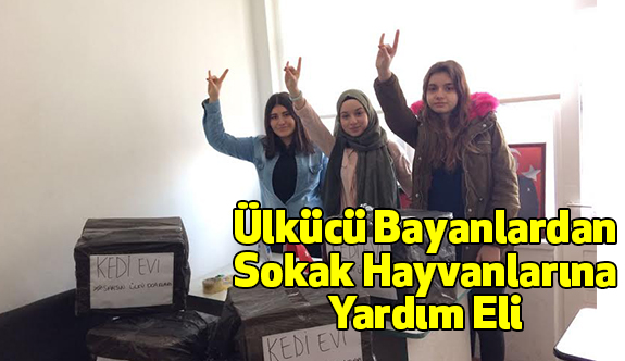 Ülkücü Bayanlardan Sokak Hayvanlarına Yardım Eli