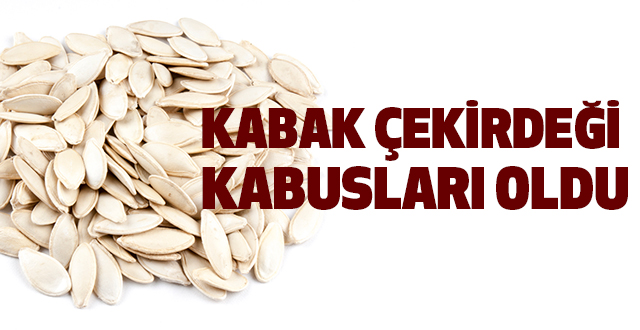 Kabak Çekirdeği Kabusları Oldu