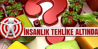 GDO Nedir? nelerde bulunur?