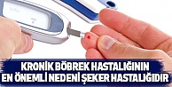 Kronik Böbrek Hastalığının En Önemli Nedeni Şeker Hastalığıdır