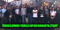 Yedikule Hayvan Barınağı'na Ziyaret
