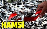 Kışın Gözde Omega-3 İçeren Balıkları