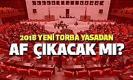 Yeni Torba Yasadan Af Çıkacak mı? (2018)