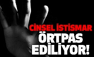 Cinsel Suçlar Konusunda Politika Geliştirsin
