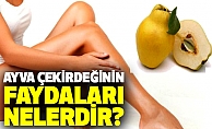 Ayva Çekirdeğinin Faydaları Nedir?