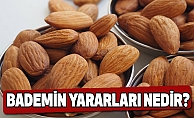 Bademin Faydaları Nedir?