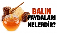 Balın Faydaları Nelerdir?