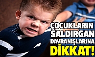 Çocukların Saldırgan Davranışlarına Dikkat