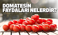 Domatesin Faydaları Nelerdir?