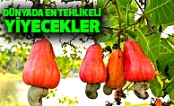 Dünyadaki En Tehlikeli Yiyecekler