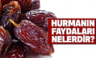 Hurmanın Faydaları Nelerdir?
