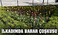 İlkadım'da Bahar Çoşkusu