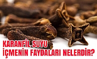 Karanfil Suyu İçmenin Faydaları Nelerdir?
