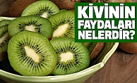 Kivinin Faydaları Nelerdir?