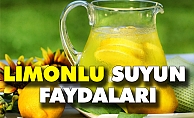 Limonlu Suyun Faydaları Nelerdir?