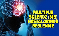 Multiple Skleroz (MS)Hastalarında Beslenme