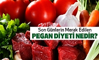 Pegan diyeti nedir? Nasıl Yapılır?