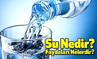 Su Nedir? Faydaları Neledir?