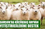 Samsun’da Küçükbaş Hayvan Yetiştiricilerine Destek