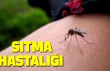 Sıtma Hastalığı (Malarya)