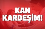 Kan Kardeşim