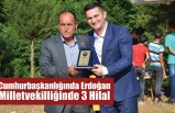 Cumhurbaşkanlığında Erdoğan, Milletvekilliğinde 3 Hilal