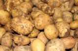 Patates ve Soğan Takip Altında