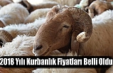 2018 Yılı Kurbanlık Fiyatları Belli Oldu
