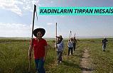 Kadınların 'Tırpan' Mesaisi